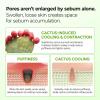 imageDr Melaxin Cactox Pore Relief Jelly Toner Pads Cooling amp DePuffing Toner Pads for Enlarged Pores Hydrating Cactus Gel Pads for Puffy Skin 170ml 60 Pads