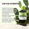 imageDrMelaxin Cactox Cactus Essence Pore Relief Toner 150ml  Hydrating amp Soothing Facial Toner for Sensitive Skin Barrier Care Gentle Pore Care