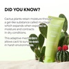 image:imageDrMelaxin Cactox Pore Relief Gel Cleanser Hydrating GeltoFoam Facial Cleanser for Pore Cleansing and EnlargedLooking Pores 120ml