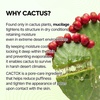 image:imageDrMelaxin CACTOX Pore Relief Jelly Toner Pads amp Serum Mist Duo with Cactus Cooling Reduce Puffiness amp Pore Tightening for Visible Pore Care Skin Repair