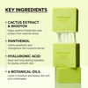 image:imageDrMelaxin Cactox Pore Relief Serum Soap  Deep Cleansing Hydrating Facial Bar with Cactus Extract Panthenol amp Hyaluronic Acid Elastic Foam Face Cleanser for Sensitive SkinCACTOX