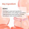 image:imageDrMelaxin Neck Tightening Duo Set  Necksphalt ECM Ampoule  Necklinephalt Microneedle Cream for Turkey Neck Sagging amp Crepey Skin Peptide AntiAging Korean Skincare 2 Piece Bundle