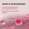image:imageDrMelaxin TX Astaxanthin Serum for Dark Spot Care Freckle Care Korean Skincare 101 fl oz 30ml